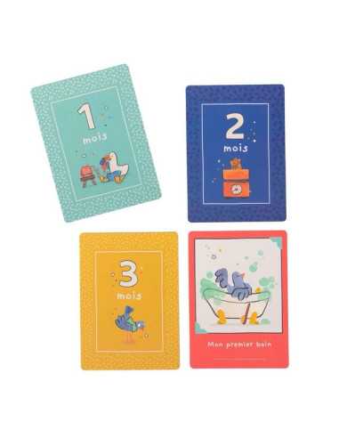 Cartes Mes 12 premiers mois Puce &... Cartes Mes 12 premiers mois Puce &...