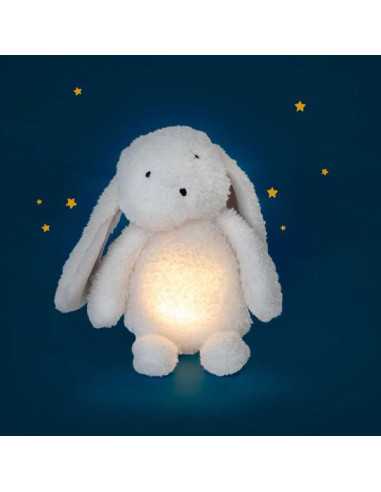 Lapin lumineux Puce & Pilou - Moulin... Lapin lumineux Puce & Pilou - Moulin...