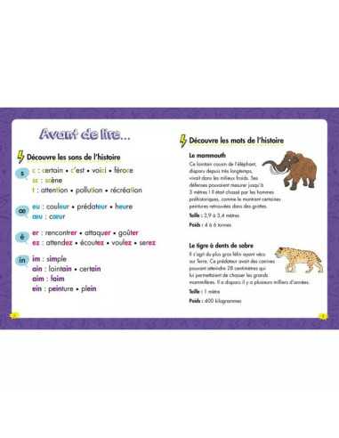 Livre Les Héros du CE1 Niveau 2 - Une... Livre Les Héros du CE1 Niveau 2 - Une...