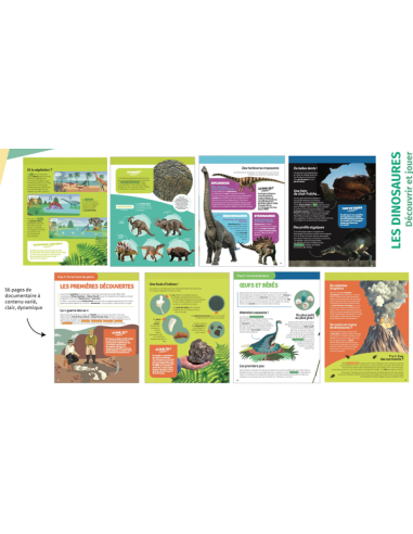 Livre documentaire les dinosaures... Livre documentaire les dinosaures...
