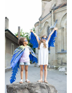 Ailes de dragon bleues 4-6... 2