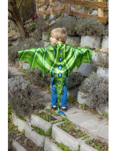 Ailes de dragon vertes 4-6...