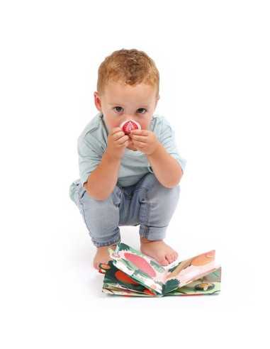 Livre des odeurs fruits - Ludi Livre des odeurs fruits - Ludi