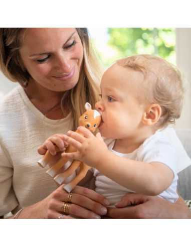 Fanfan le faon Sophie la girafe Fanfan le faon Sophie la girafe