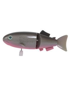 Poisson gris Les petites...