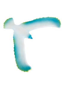 Oiseau équilibriste bleu...