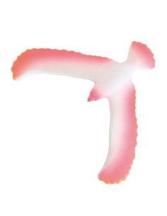 Oiseau équilibriste rose...