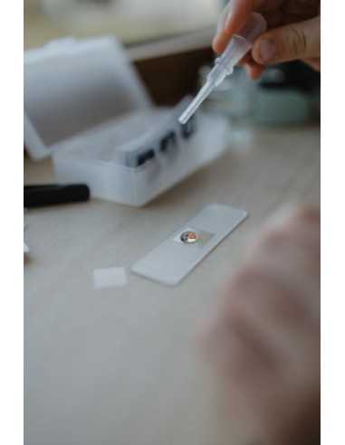 Microscope vert - Kidywolf Microscope vert - Kidywolf