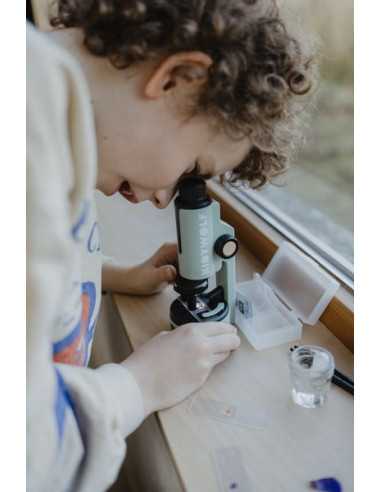 Microscope vert - Kidywolf Microscope vert - Kidywolf