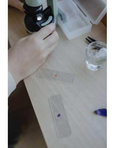 Microscope vert - Kidywolf Microscope vert - Kidywolf