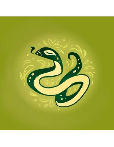 Jeu Cocoons Jeu Cocoons