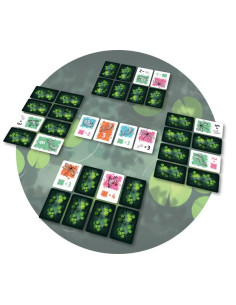 Jeu Symbiose 2