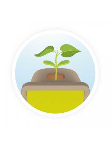 Coffret Petites pousses - Buki Coffret Petites pousses - Buki