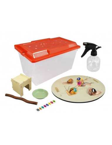 Maison des escargots - Buki Maison des escargots - Buki