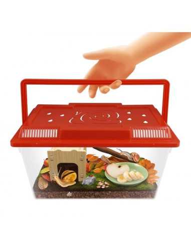 Maison des escargots - Buki Maison des escargots - Buki