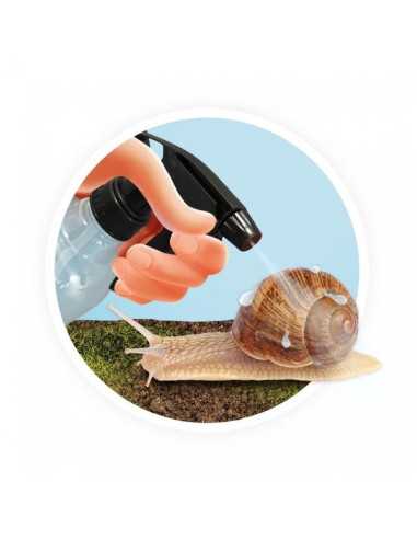 Maison des escargots - Buki Maison des escargots - Buki