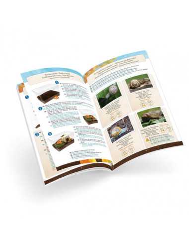 Maison des escargots - Buki Maison des escargots - Buki