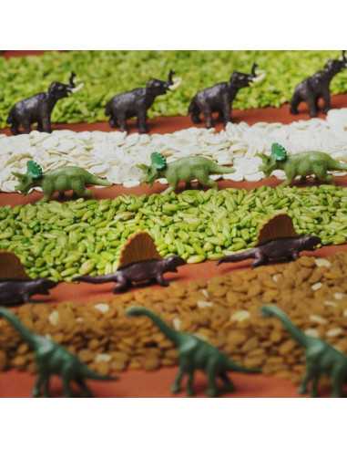 Bouteille sensorielle Jurassic -... Bouteille sensorielle Jurassic -...