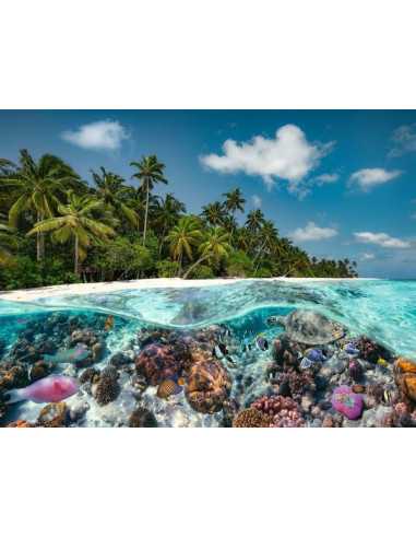Puzzle 2000 pièces Une plongée aux... Puzzle 2000 pièces Une plongée aux...