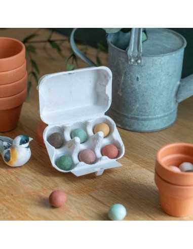 Boîte à oeufs 6 bombes à graines Le... Boîte à oeufs 6 bombes à graines Le...