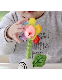Hochet fleur musical - Hape 2