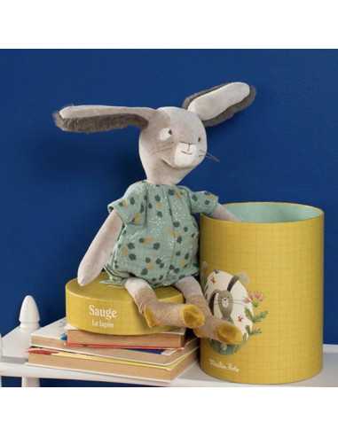 Lapin sauge Trois Petits Lapins -... Lapin sauge Trois Petits Lapins -...