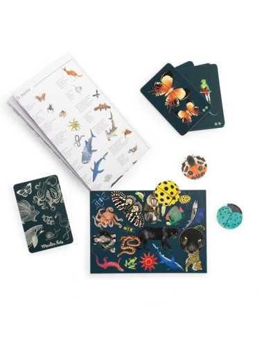 Jeu cherche et trouve Tout autour du... Jeu cherche et trouve Tout autour du...