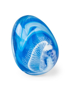 Oeuf de dragon bleu...