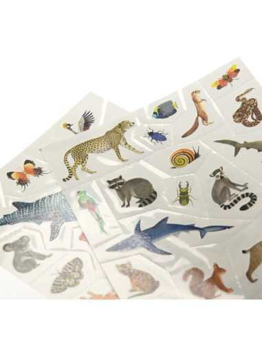 Tatouages Tout autour du monde -... Tatouages Tout autour du monde -...