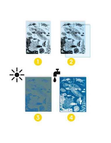 Cyanotype Outremer - Djeco Cyanotype Outremer - Djeco