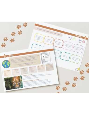 Livret Animaux Sauvages - Étoilium Livret Animaux Sauvages - Étoilium