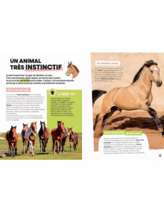 Livre documentaire les... 2