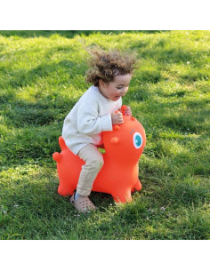 Ballon sauteur Sunny Jumper... 2