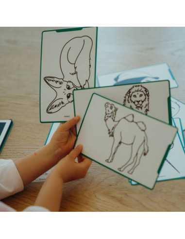 Cartes Kidydraw Mini Animaux et... Cartes Kidydraw Mini Animaux et...