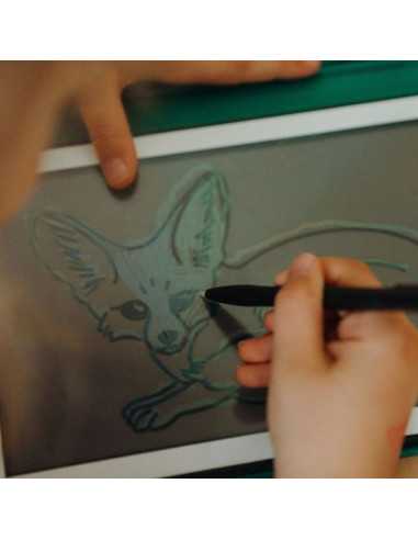 Cartes Kidydraw Mini Animaux et... Cartes Kidydraw Mini Animaux et...