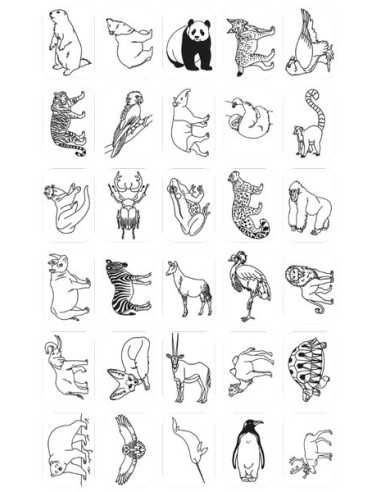 Cartes Kidydraw Mini Animaux et... Cartes Kidydraw Mini Animaux et...