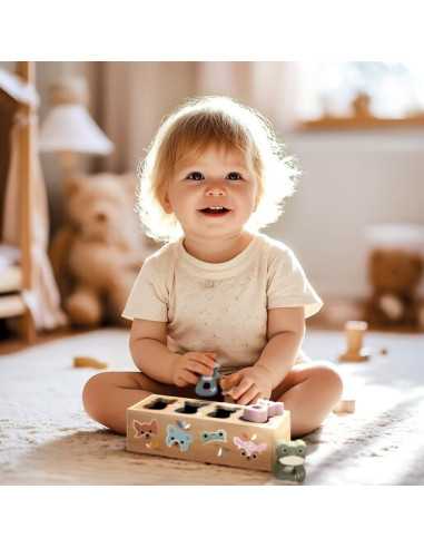 Boite à formes Animaux - Speedy Monkey Boite à formes Animaux - Speedy Monkey