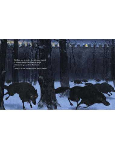 Livre Chevalier Chouette et petite... Livre Chevalier Chouette et petite...