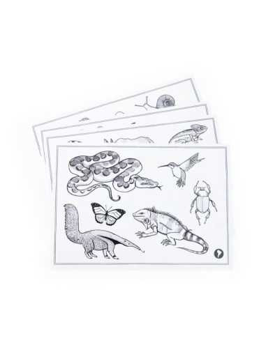 Tablette lumineuse Kidywolf Tout... Tablette lumineuse Kidywolf Tout...