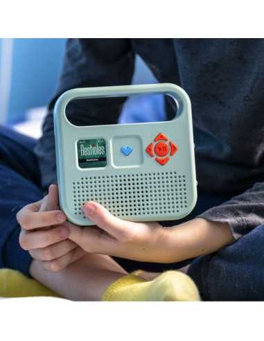 Enceinte Merlin Enceinte Merlin