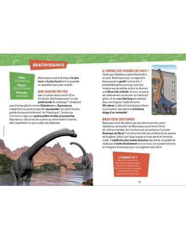Je découvre les dinosaures - Auzou Je découvre les dinosaures - Auzou