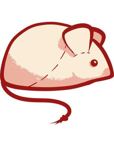 Jeu Mieze Katze Jeu Mieze Katze