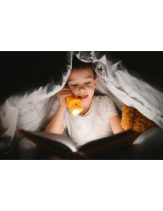 Lampe de poche Lion - Little L 2