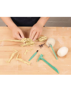 Je découvre les dinosaures... 2