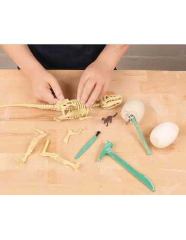 Je découvre les dinosaures - Auzou Je découvre les dinosaures - Auzou