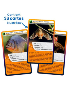 Défis Nature Même pas peur... 2