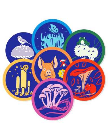 Jeu Amanite Jeu Amanite