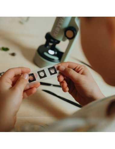 Microscope vert - Kidywolf Microscope vert - Kidywolf