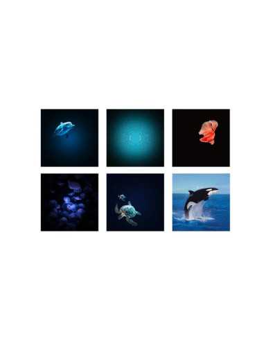Projecteur d'images océans et mers... Projecteur d'images océans et mers...