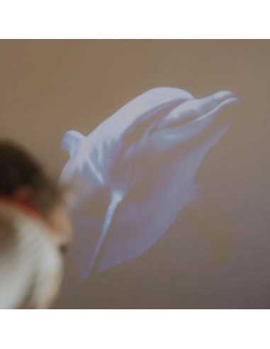 Projecteur d'images océans et mers... Projecteur d'images océans et mers...